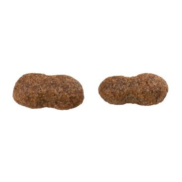 Racao-Guabi-Natural-Caes-Adultos-Grandes-Salmao-e-Cevada-Detalhe-do-grao