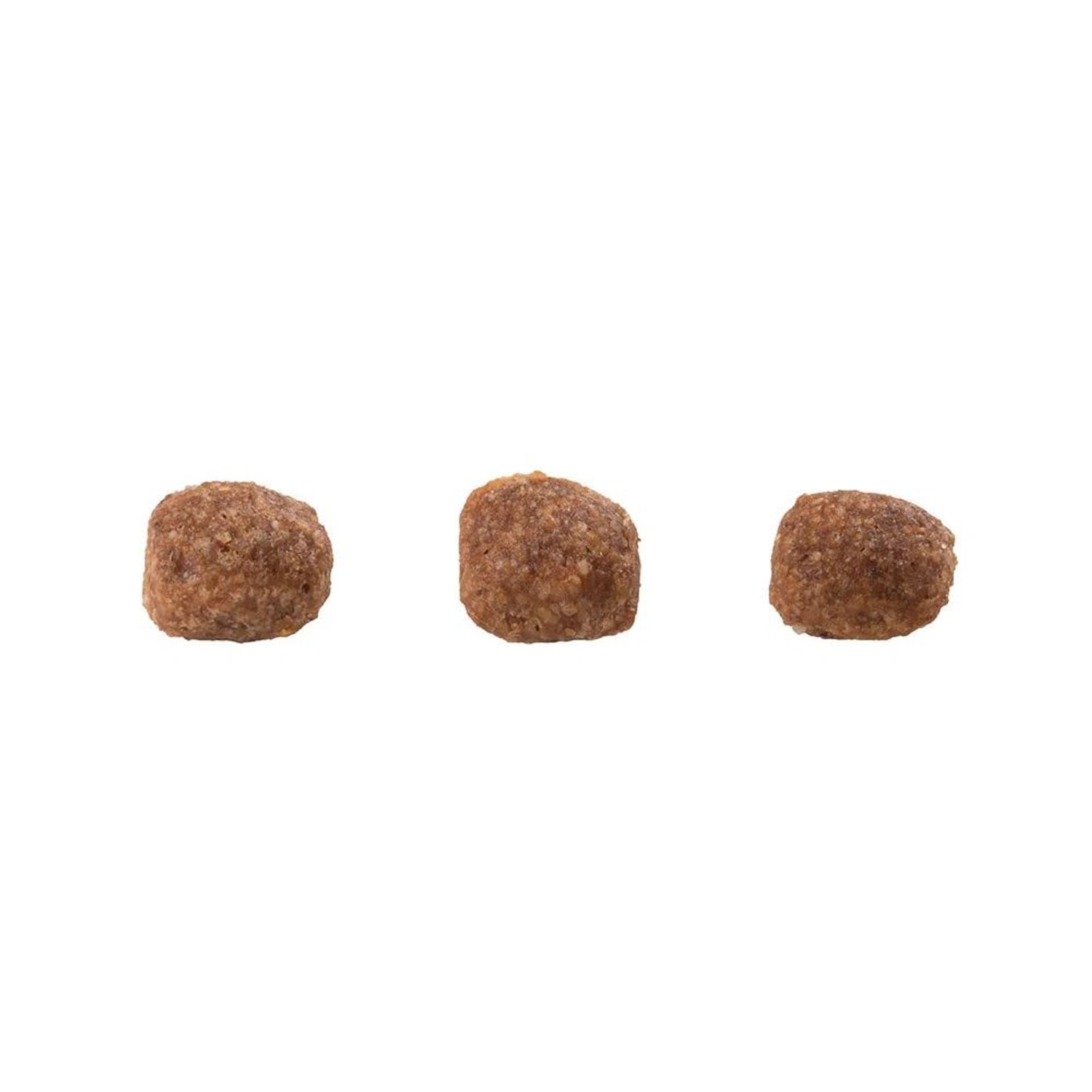 Racao-Guabi-Natural-Caes-Filhotes-Racas-Mini-e-Pequenas-Frango-e-Arroz-Integral-graos