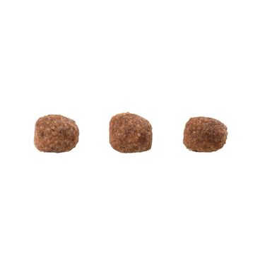 Racao-Guabi-Natural-Caes-Filhotes-Racas-Mini-e-Pequenas-Frango-e-Arroz-Integral-graos