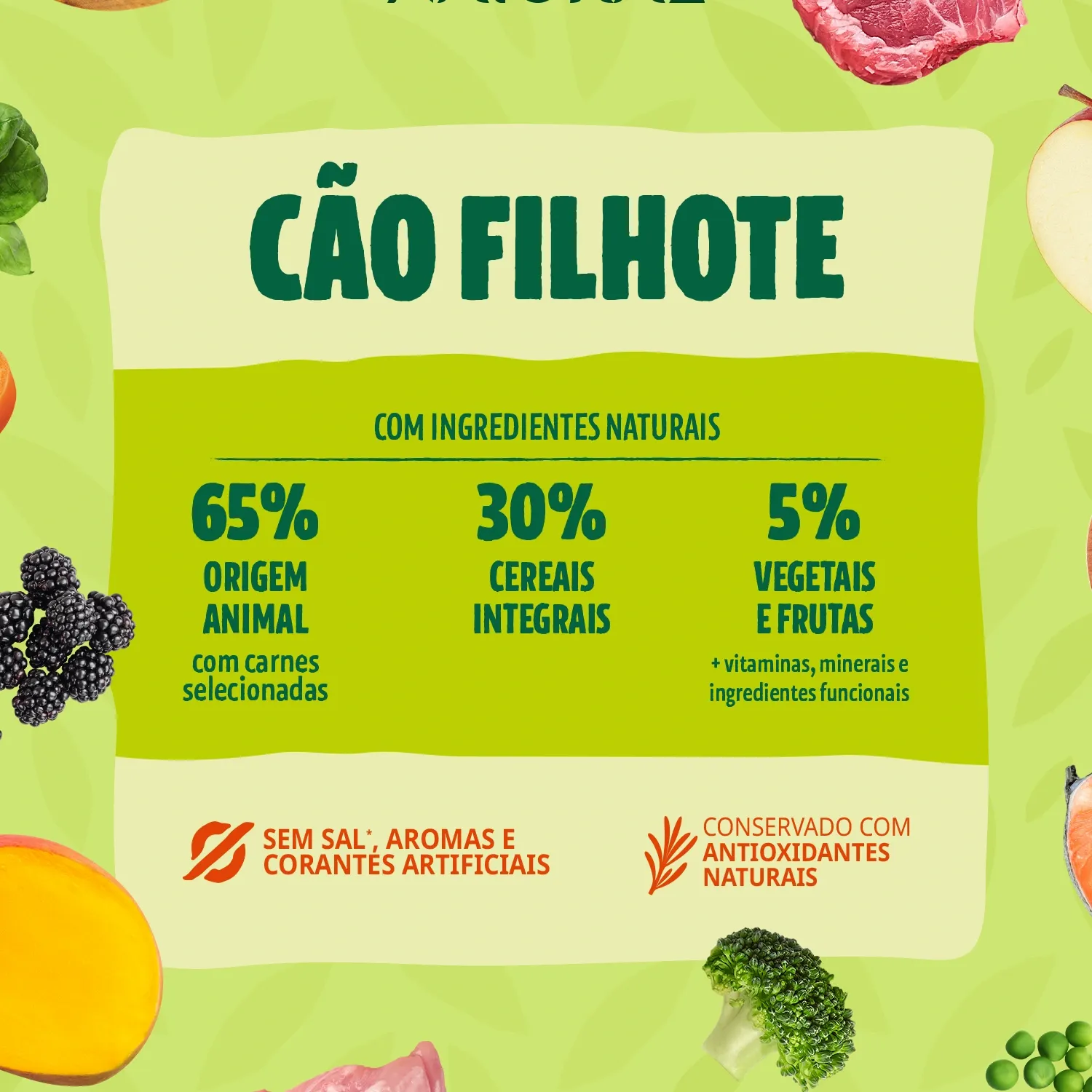 Racao-Guabi-Natural-Caes-Filhotes-Racas-Mini-e-Pequenas-Frango-e-Arroz-Integral-4