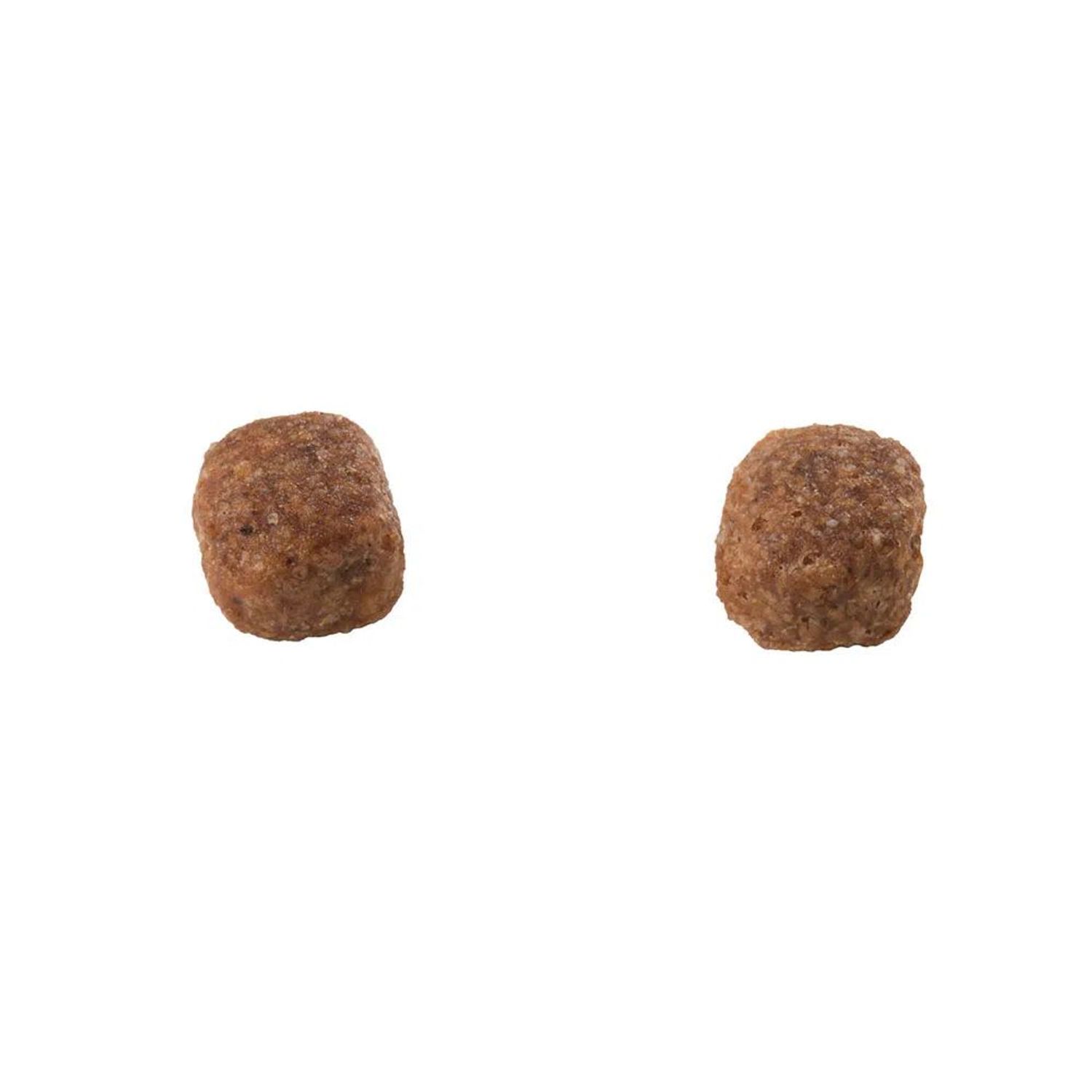 Racao-Guabi-Natural-Caes-Filhotes-Medios-Frango-e-Arroz-Integral-graos