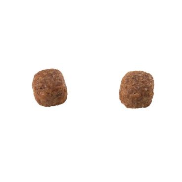 Racao-Guabi-Natural-Caes-Filhotes-Medios-Frango-e-Arroz-Integral-graos