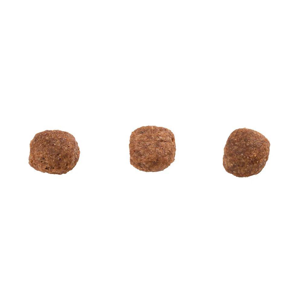 Ração Guabi Natural Cães Adultos Raças Mini e Pequenas Frango e Arroz Integral