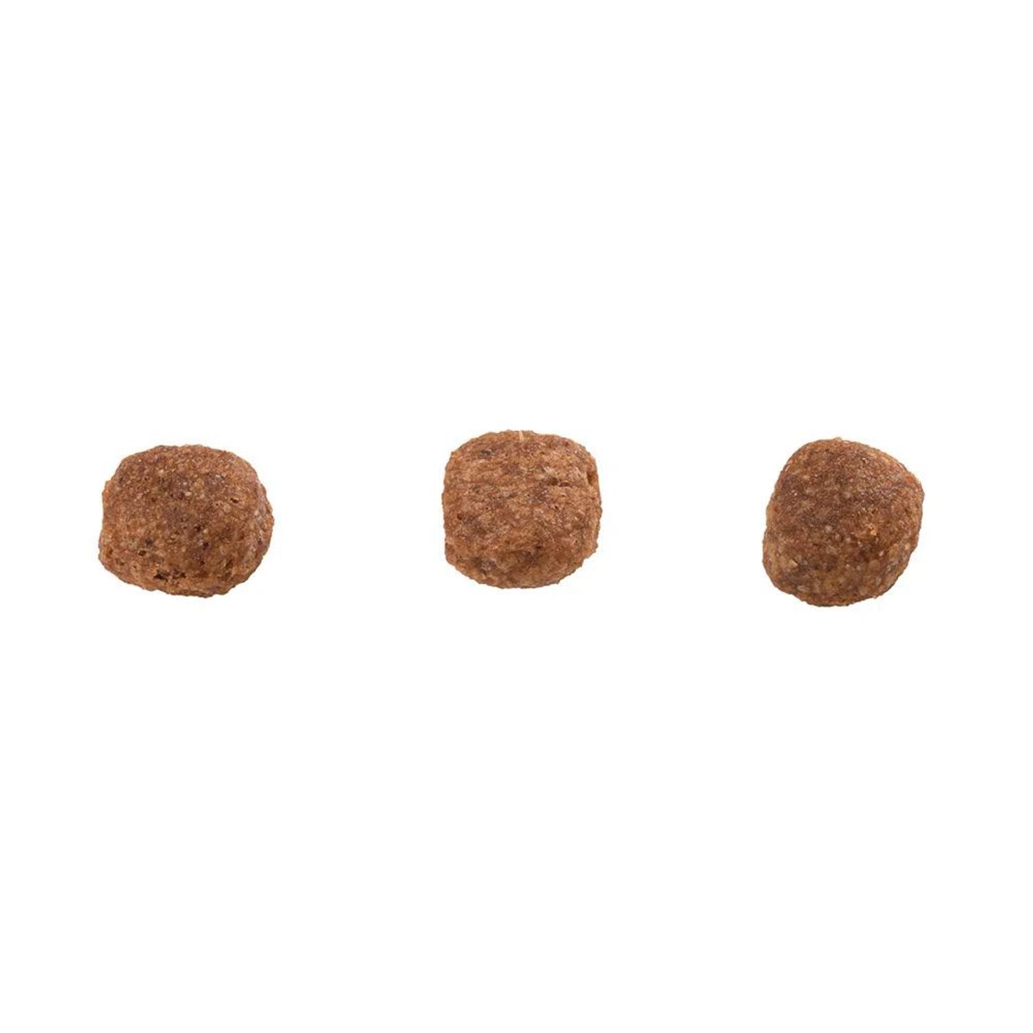 Racao-Guabi-Natural-Caes-Adultos-Racas-Mini-e-Pequenas-Frango-e-Arroz-Integral-graos