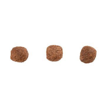 Racao-Guabi-Natural-Caes-Adultos-Racas-Mini-e-Pequenas-Frango-e-Arroz-Integral-graos