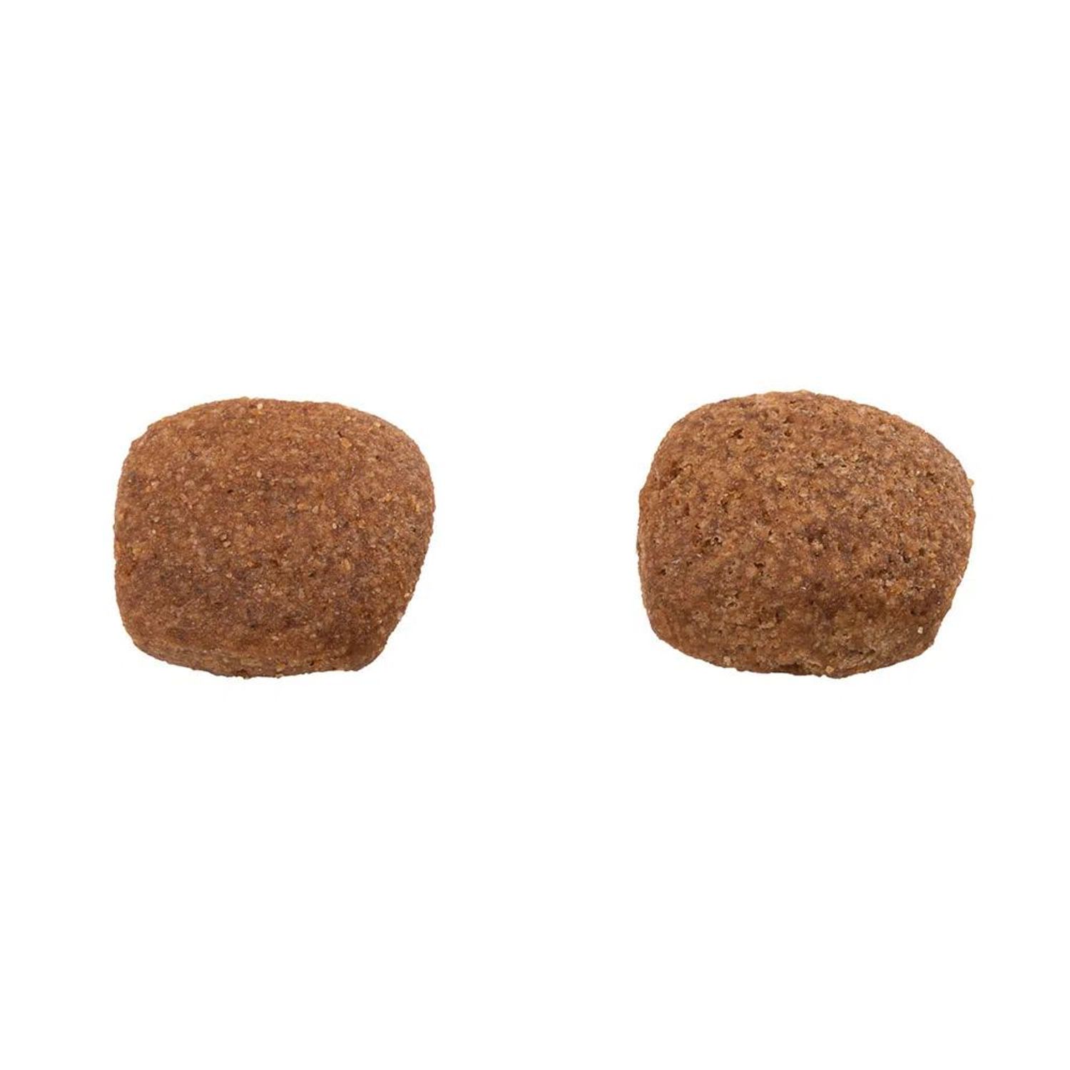 Racao-Guabi-Natural-Caes-Adultos-Medio-Frango-e-Arroz-Grao