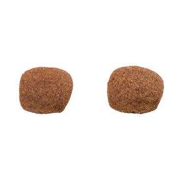 Racao-Guabi-Natural-Caes-Adultos-Medio-Frango-e-Arroz-Grao