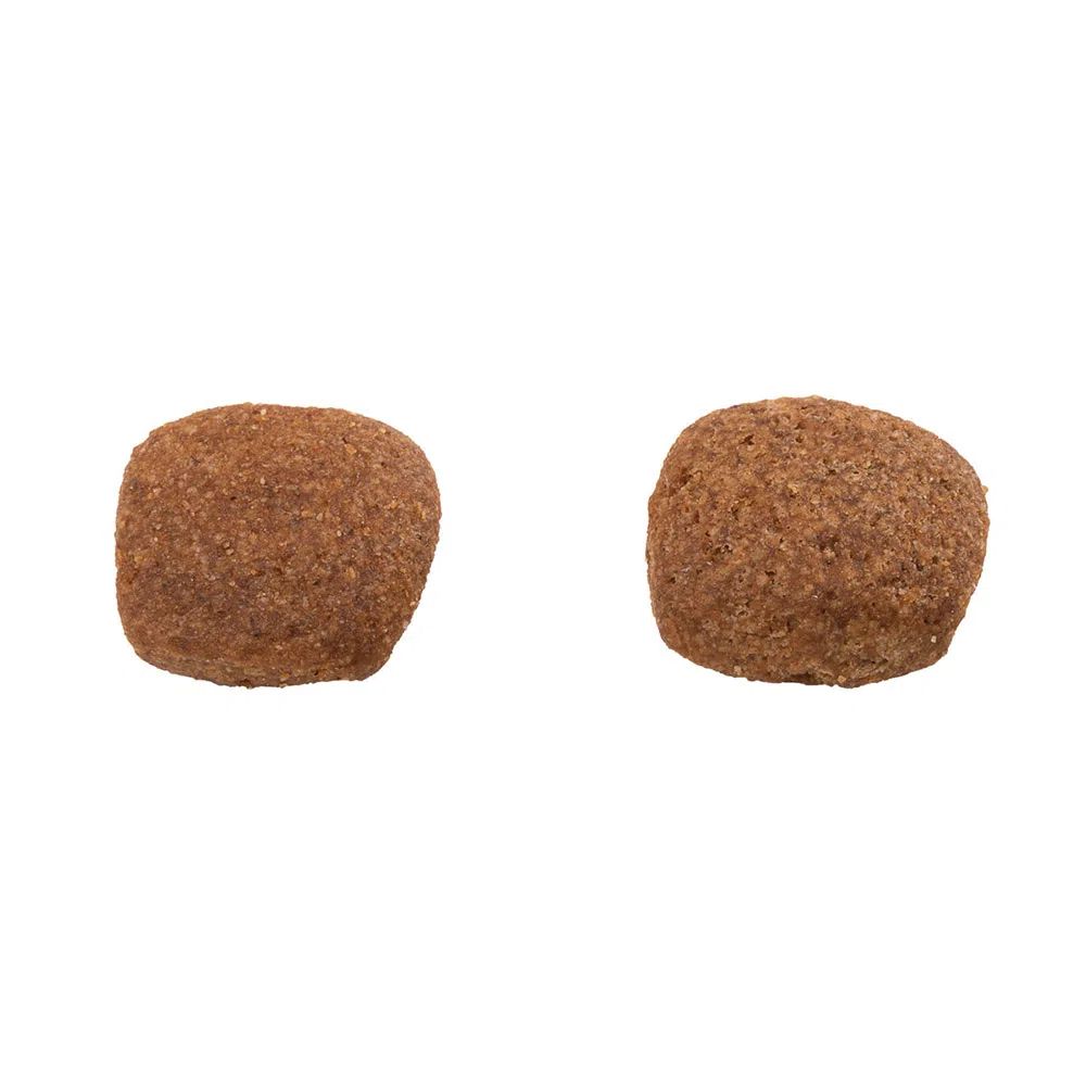 Ração Guabi Natural Cães Adultos Médio Frango e Arroz