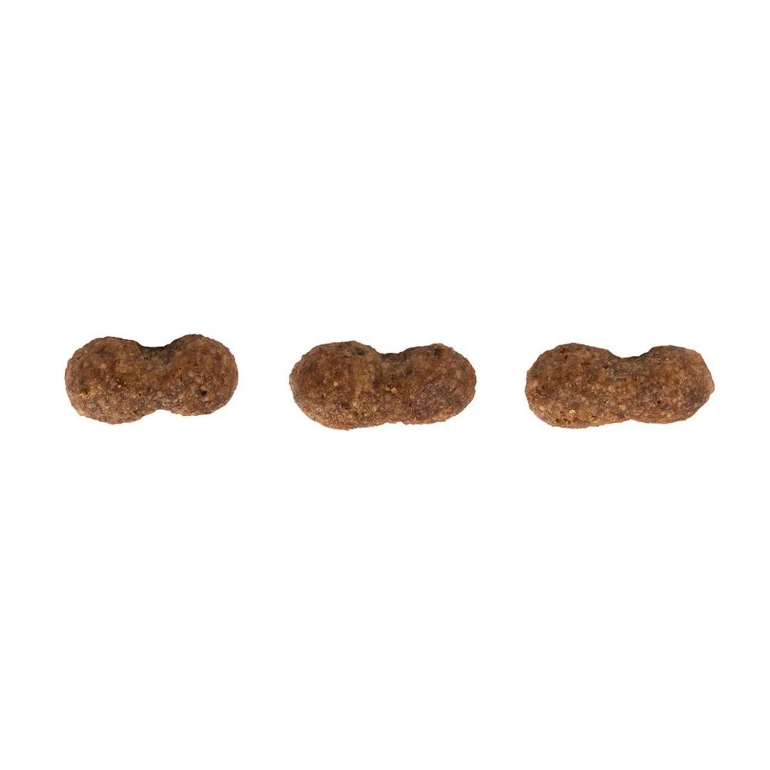 Racao-Guabi-Natural-Caes-Adultos-Racas-Mini-e-Pequenas-Salmao-e-Cevada-graos