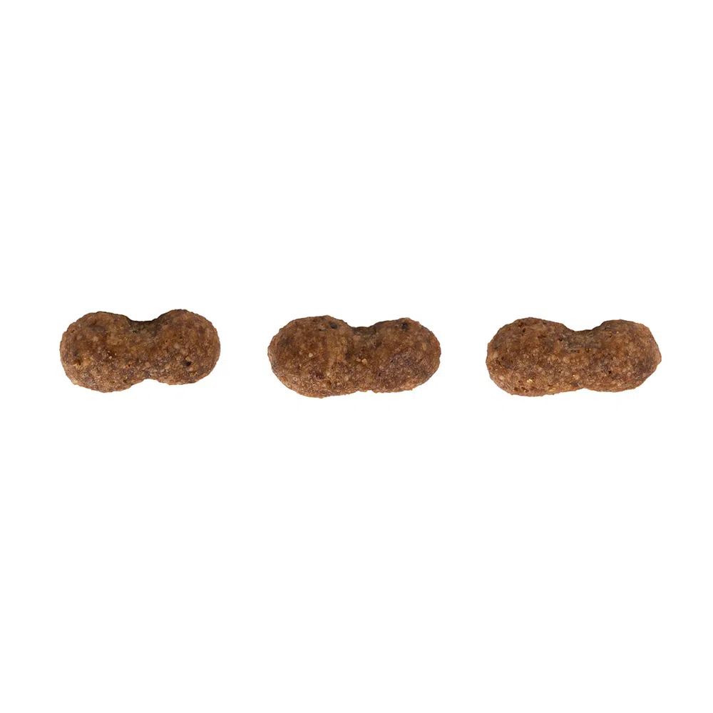 Ração Guabi Natural Cães Adultos Raças Mini e Pequenas Salmão e Cevada