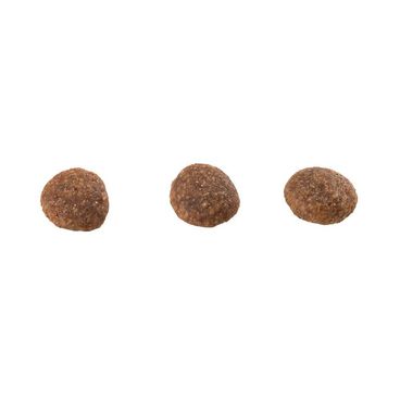 Racao-Guabi-Natural-Gatos-Adultos-Frango-e-Arroz-Integral-graos