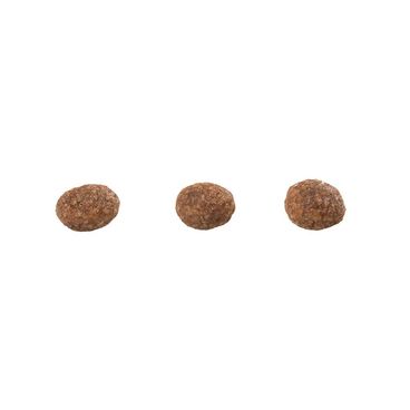 Racao-Guabi-Natural-Gatos-Filhotes-Frango-e-Arroz-Integral-graos