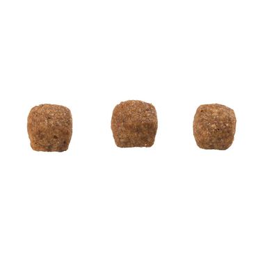 Racao-Guabi-Natural-Gato-Adulto-Castrado-Frango-e-Arroz-Integral-Grao