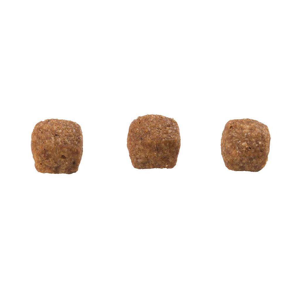Ração Guabi Natural Gato Adulto Castrado Frango e Arroz Integral