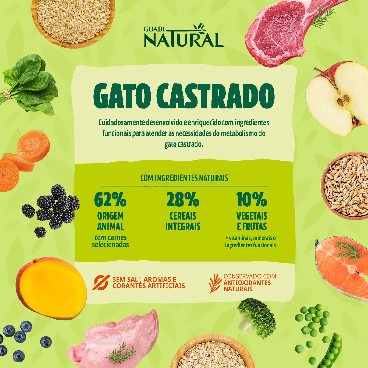 Racao-Guabi-Natural-Gatos-Filhotes-Frango-e-Arroz-Integral-4
