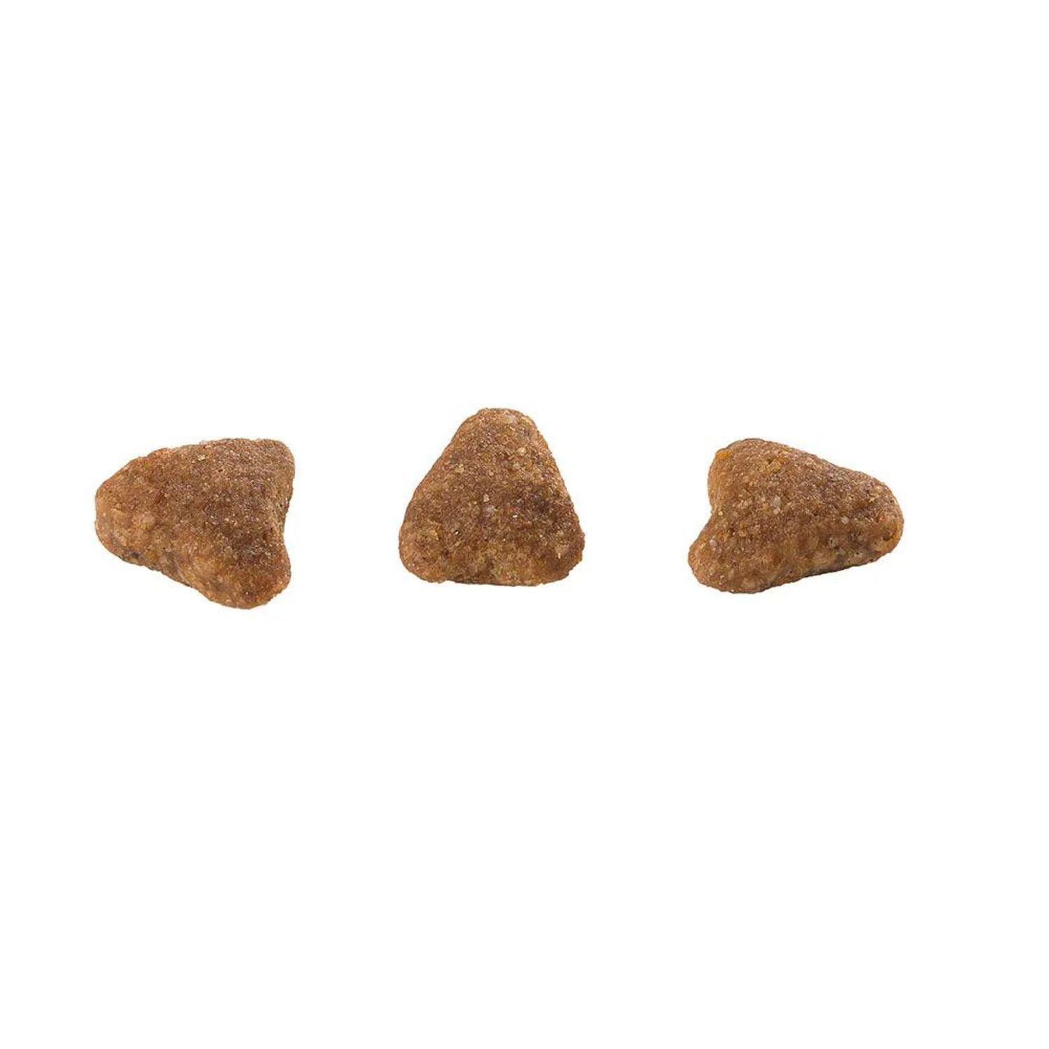 Racao-Guabi-Natural-Gatos-Adultos-Salmao-e-Cevada
