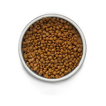 Racao-Guabi-Natural-Grain-Free-Caes-Adultos-Racas-Mini-Pequeno-Frango-e-Lentilha