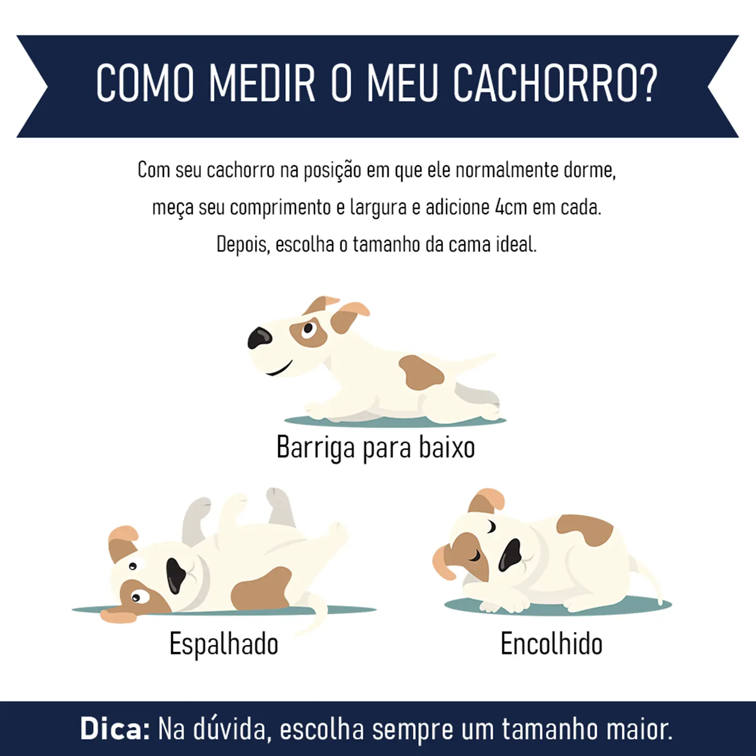 Cama-Fabrica-Pet-como-medir-o-pet