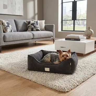 Pet-deitado-na-Cama-Grecia-Fabrica-Pet-Cinza