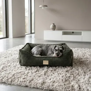 Pet-deitado-na-Cama-Grecia-Fabrica-Pet-Verde