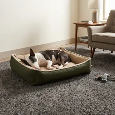 Pet-dormindo-na-Cama-Bicolor-Fabrica-Pet-Verde-e-Caqui
