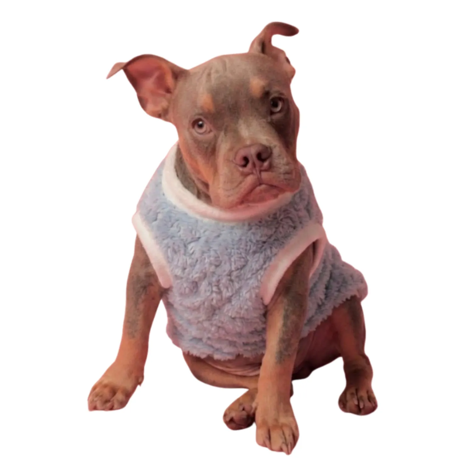 Casaco Blizzard para Cães Emporium Distripet Rosa