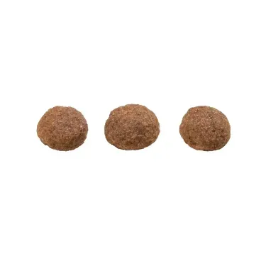 Racao-GranPlus-Choice-Caes-Adultos-Frango-e-Carne-15-kg-grao.webp
