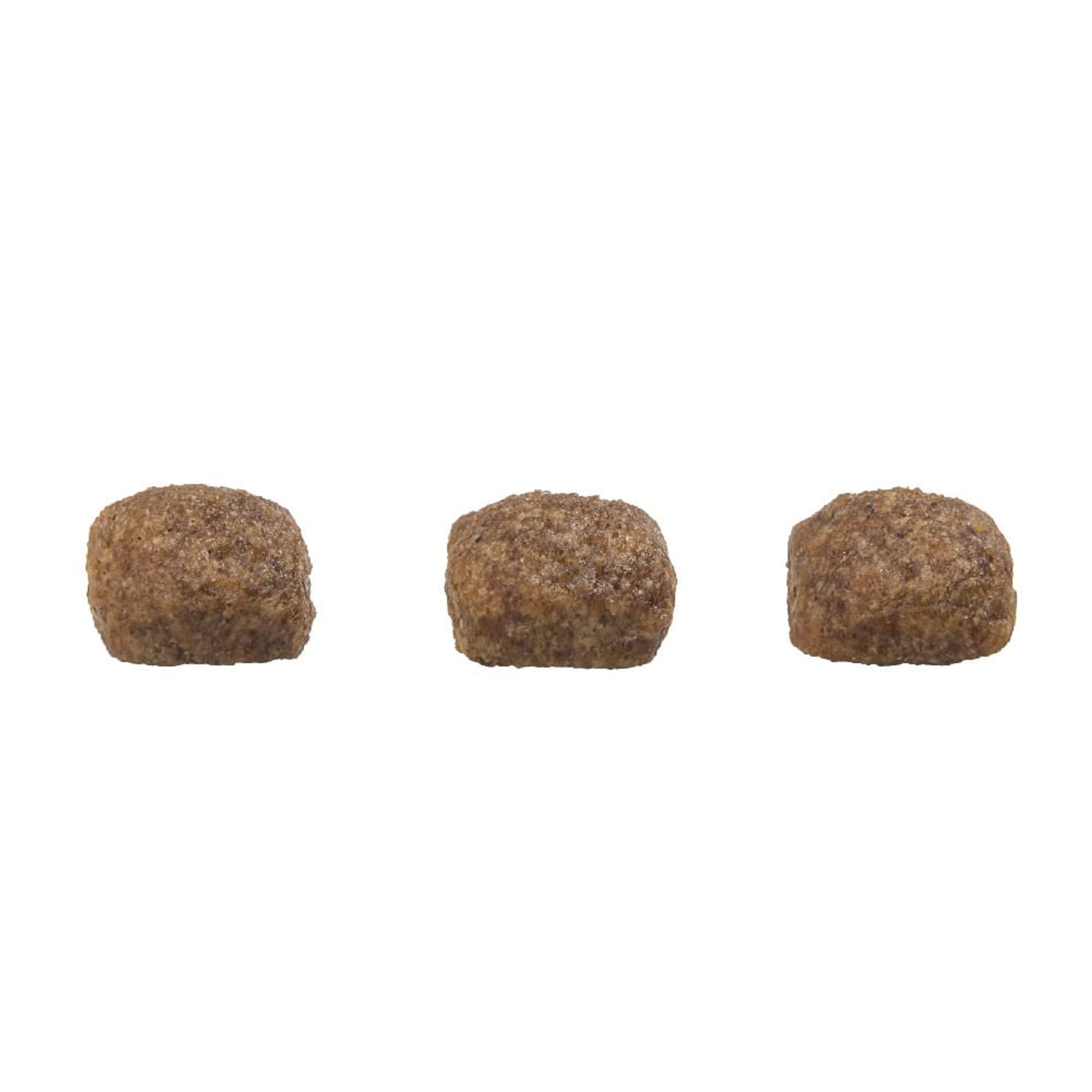 Croquete-Racao-Gran-Plus-Caes-Filhotes-Medio-e-grande-porte