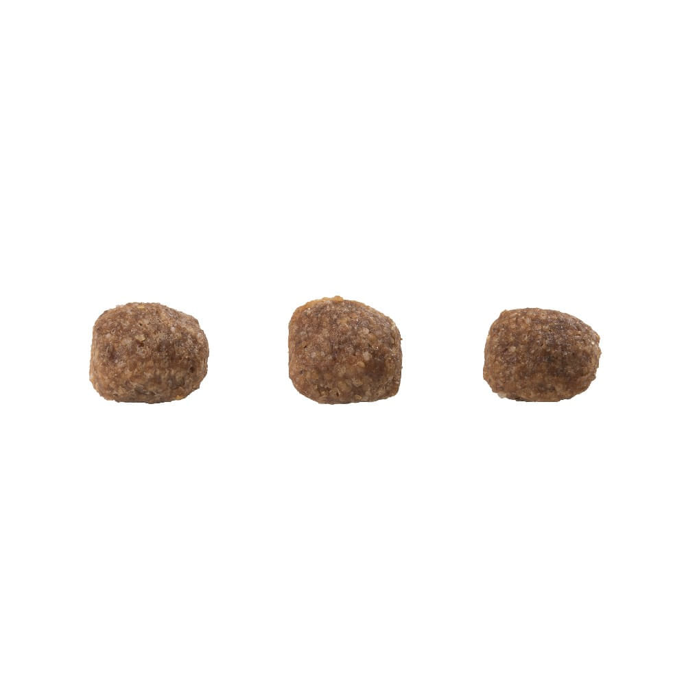 Ração GranPlus Gourmet Gatos Filhotes Salmão e Frango
