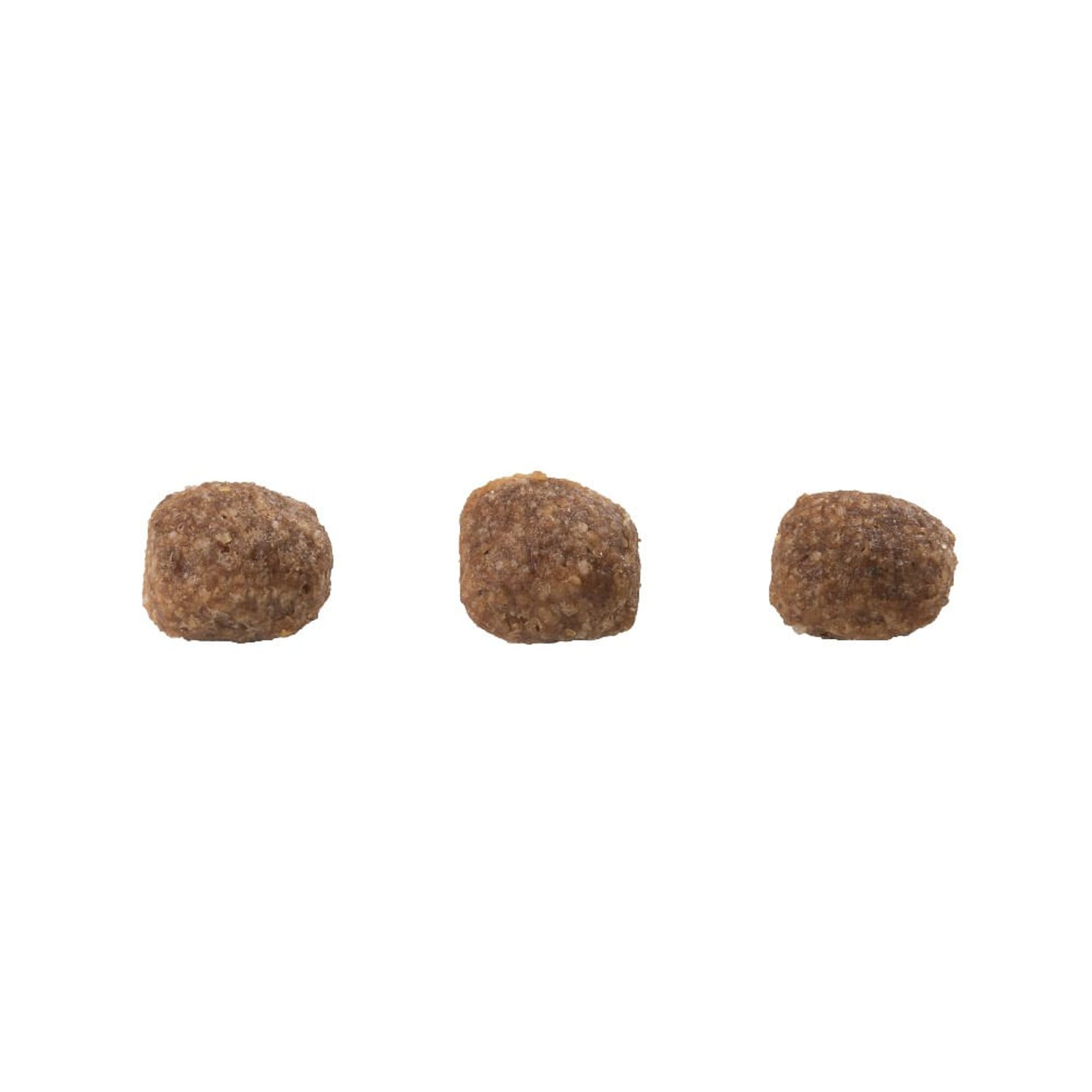 Croquete-racao-gran-plus