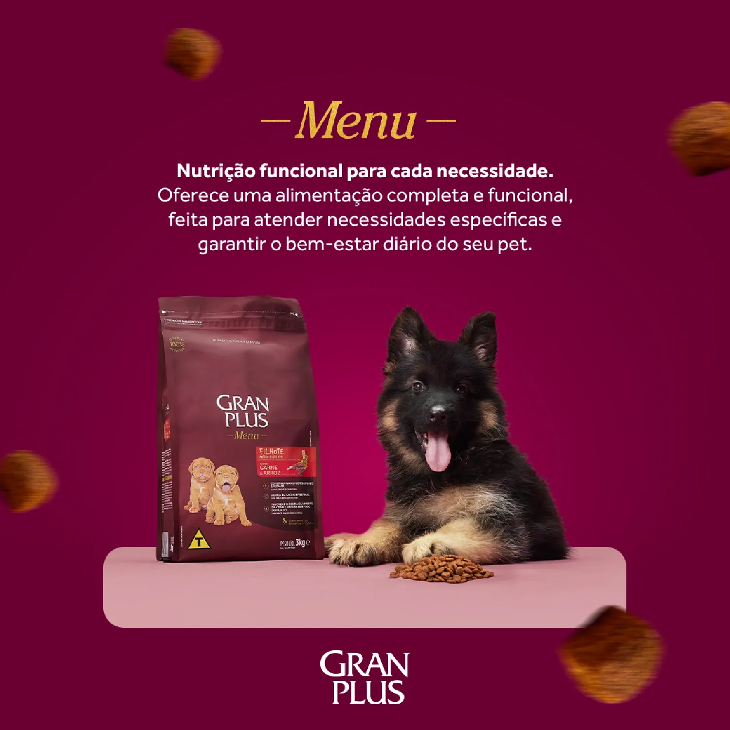 Ração GranPlus Menu Cães Filhotes Carne e Arroz Ração GranPlus Menu Cães Filhotes Carne e Arroz