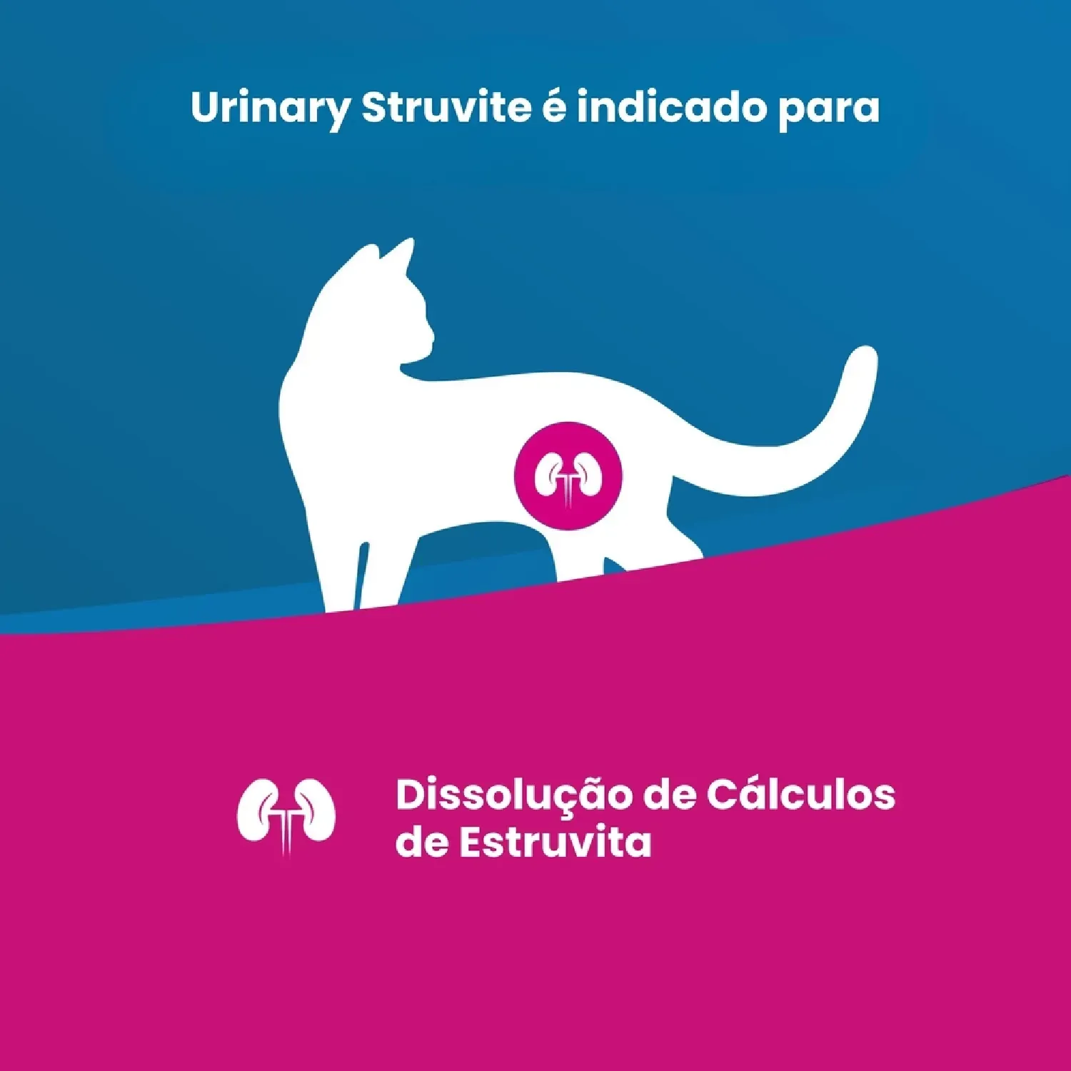 Ração Vet Life Natural Gatos Urinary Struvite
