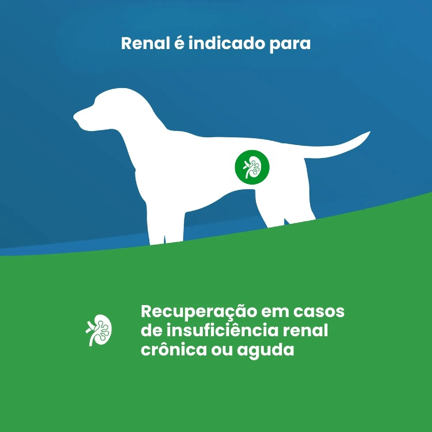 Ração Úmida Vet Life Cães Renal