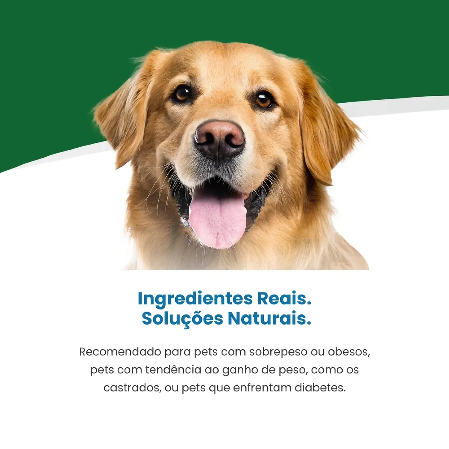 Ração Vet Life Natural para Cães Obesidade e Diabete Peixe