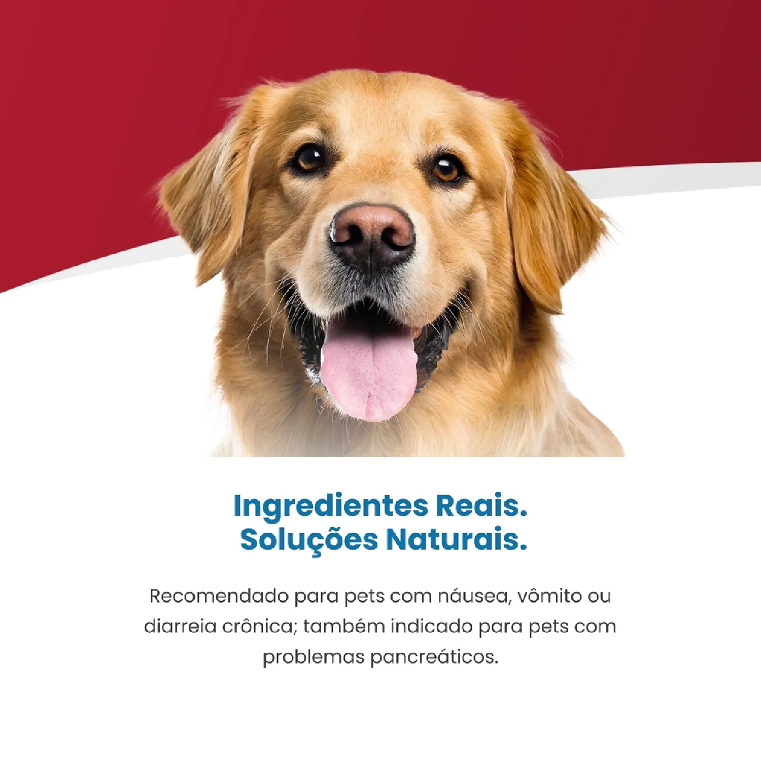 Ração Vet Life Gastrointestinal UltraCare Low Fat para Cães Adultos