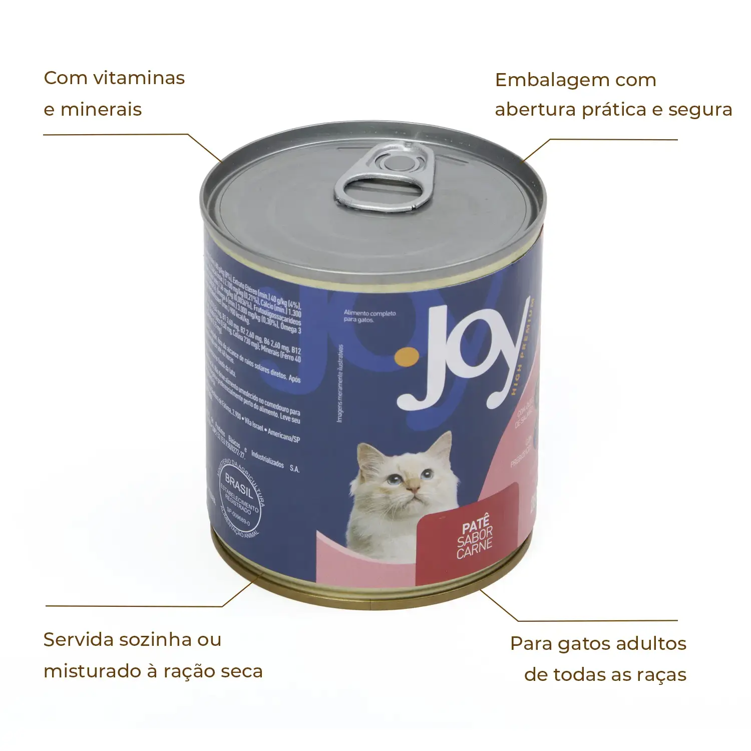 Ração Úmida Joy Patê para Gatos Carne