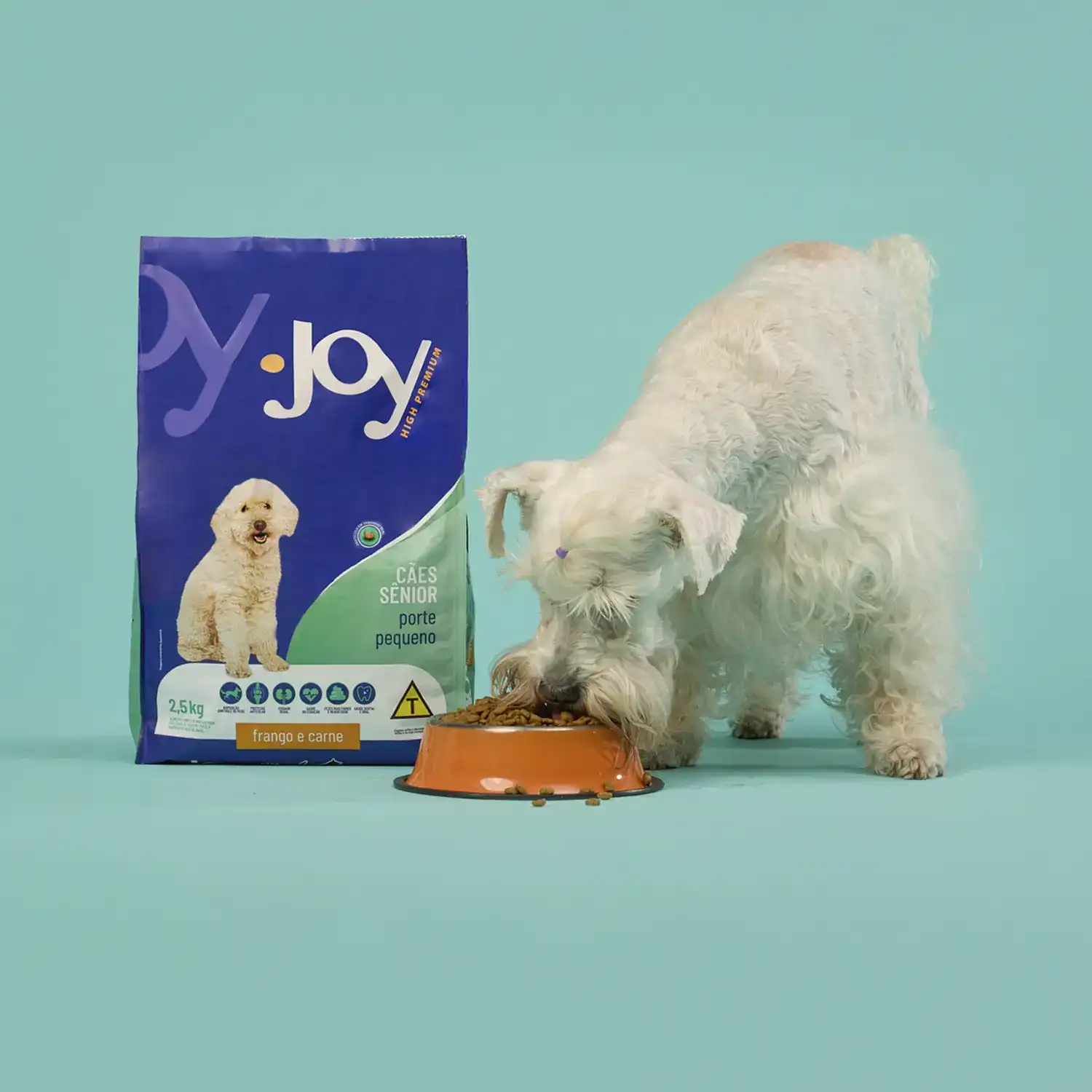 Racao-Joy-High-Premium-Caes-Senior-Racas-Pequenas-Frango-e-Carne-com-pet-comendo-a-racao