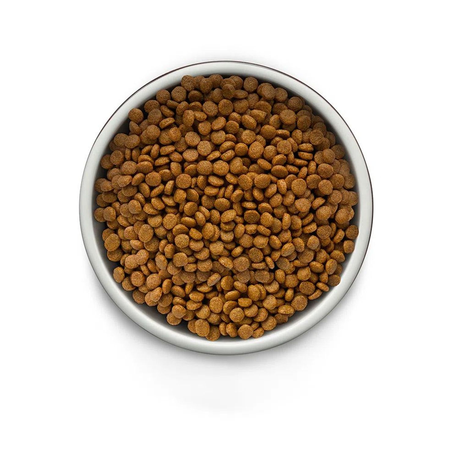 Racao-Guabi-Natural-Grain-Free-Caes-Adultos-Racas-Mini-Pequeno-Frango-e-Lentilha