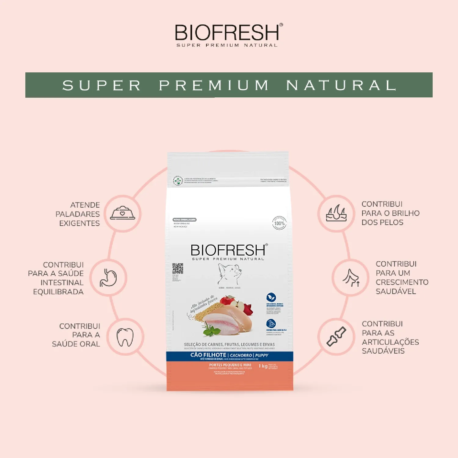 Racao-Biofresh-Caes-Filhotes-Racas-Pequenas-e-Minis-01