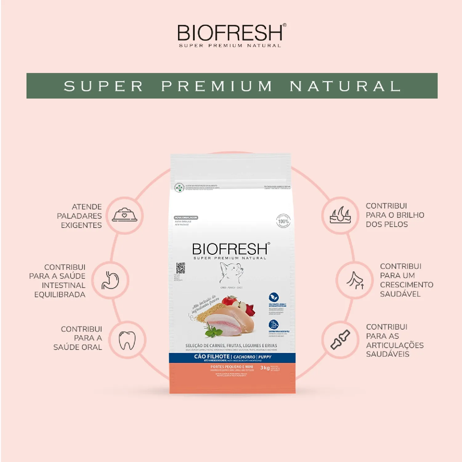 Racao-Biofresh-Caes-Filhotes-Racas-Pequenas-e-Minis-01