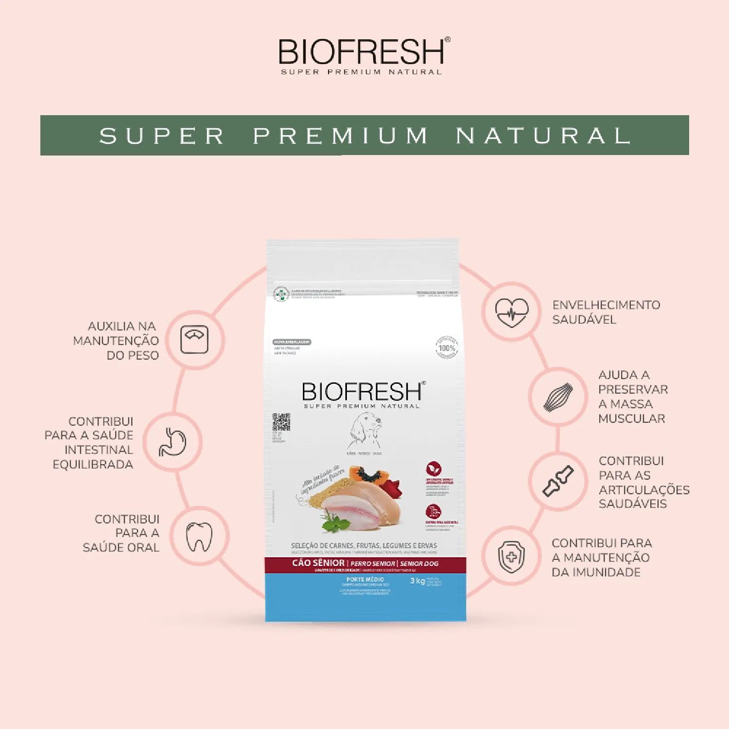 Racao-Biofresh-Caes-Senior-Racas-Medias-01