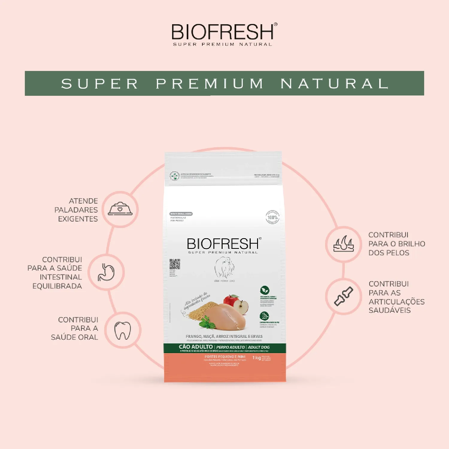 Ração Biofresh Cães Adultos Raças Pequenas e Minis Frango Ração Biofresh Cães Adultos Raças Pequenas e Minis Frango