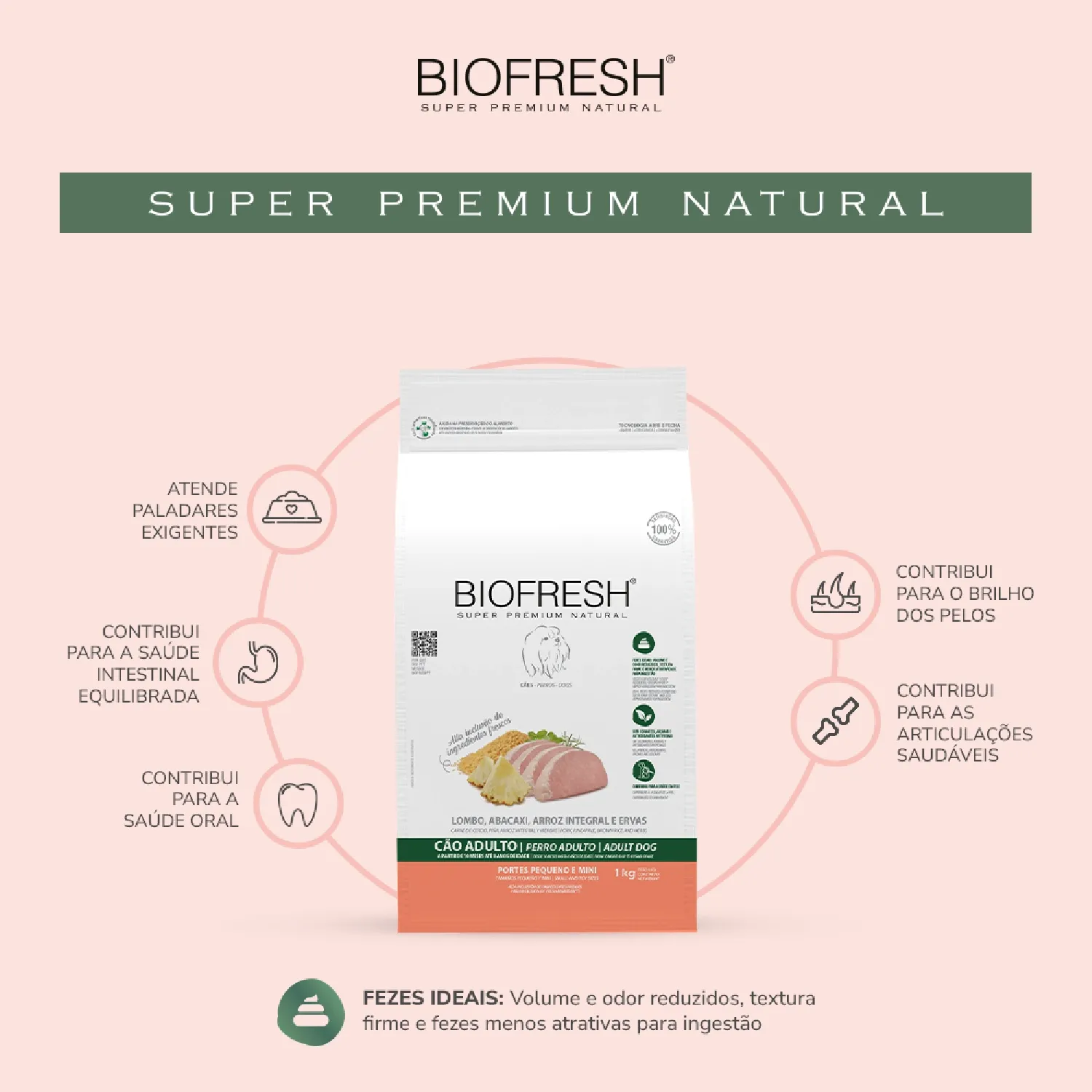 Racao-Biofresh-Lombo-e-Abacaxi-01