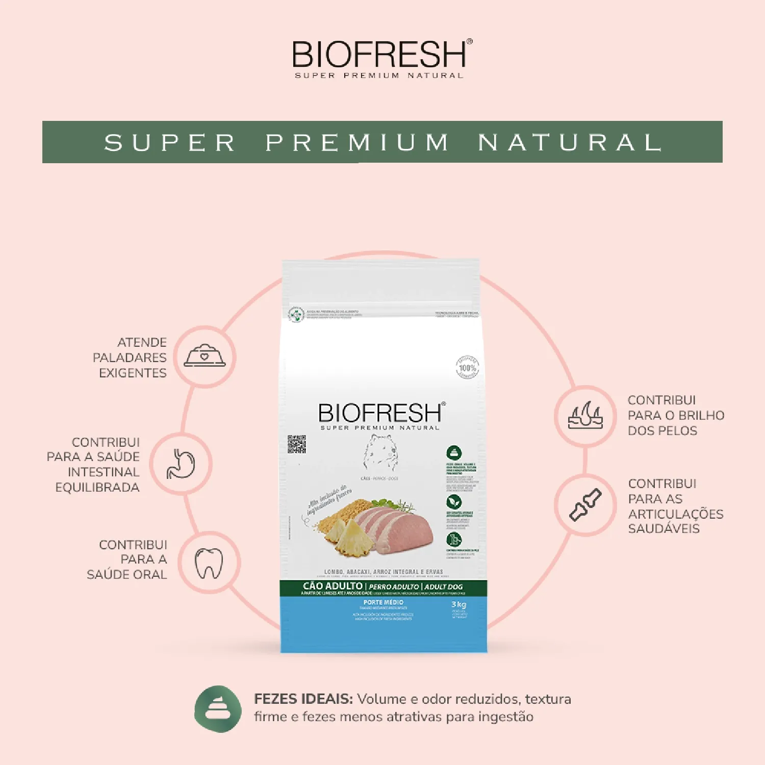 Racao-Biofresh-Lombo-e-Abacaxi-01