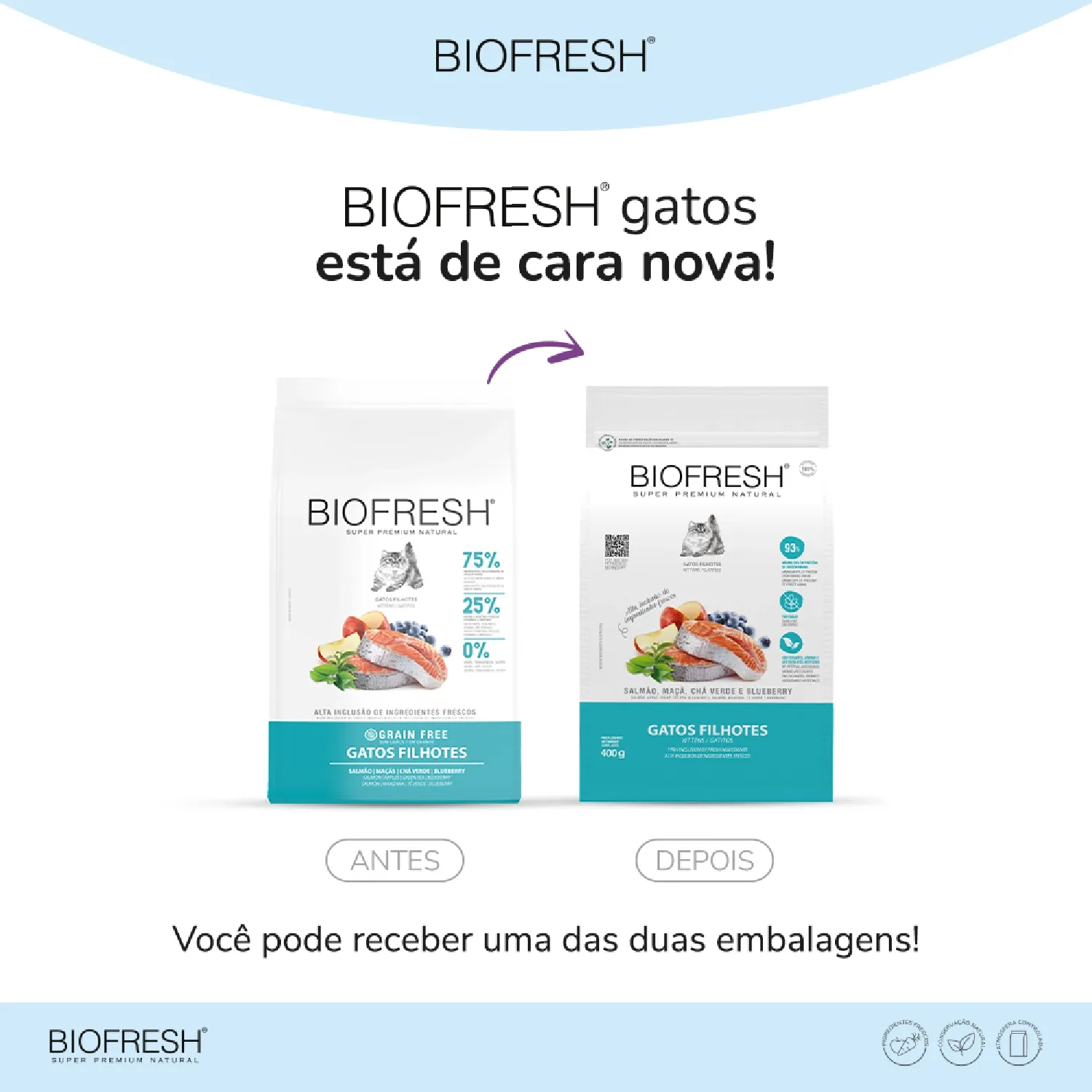 Ração Biofresh Gatos Filhotes Salmão