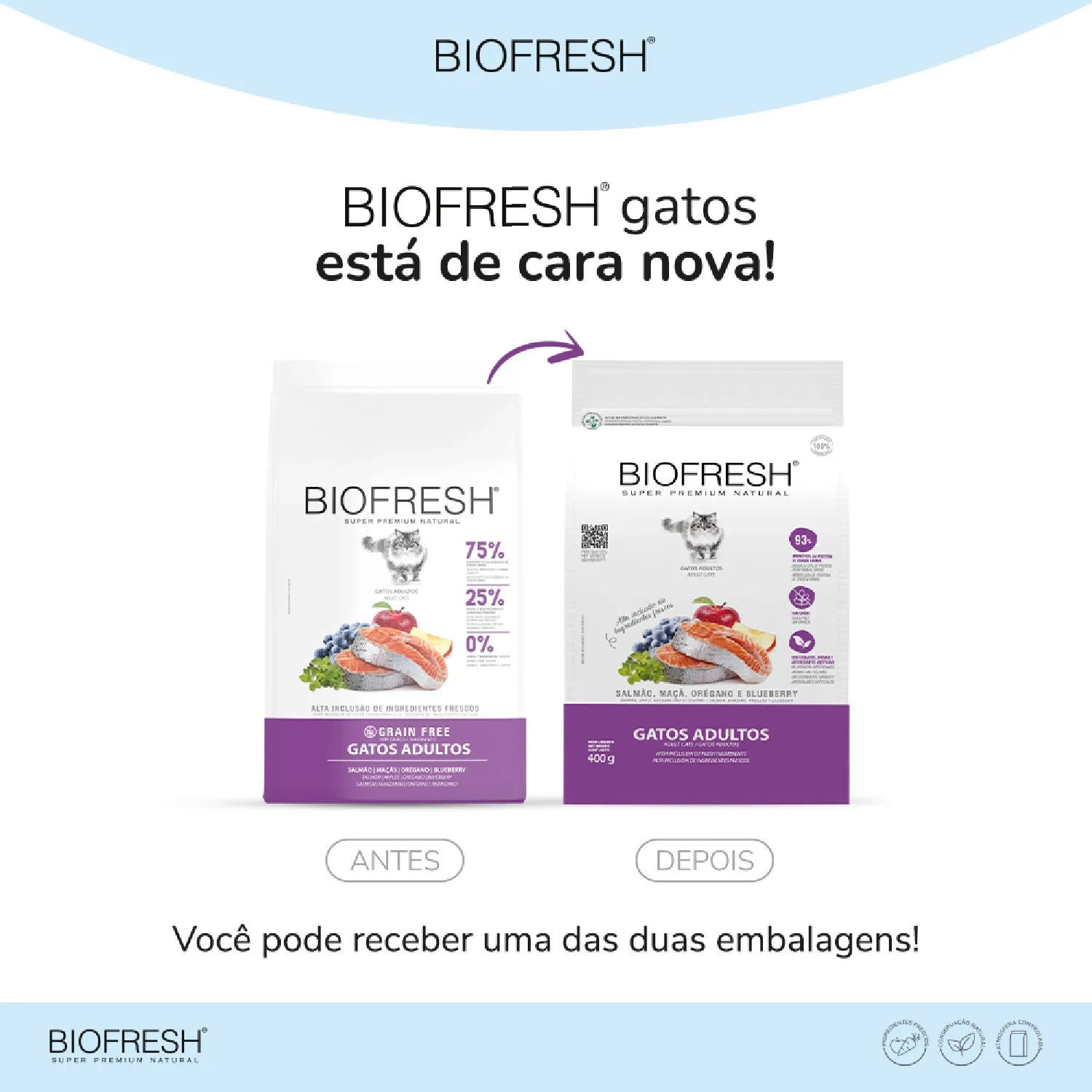 Ração Biofresh Gatos Adultos Salmão