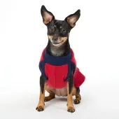 Vestido Soft para Cães e Gatos Fábrica Pet Vermelho