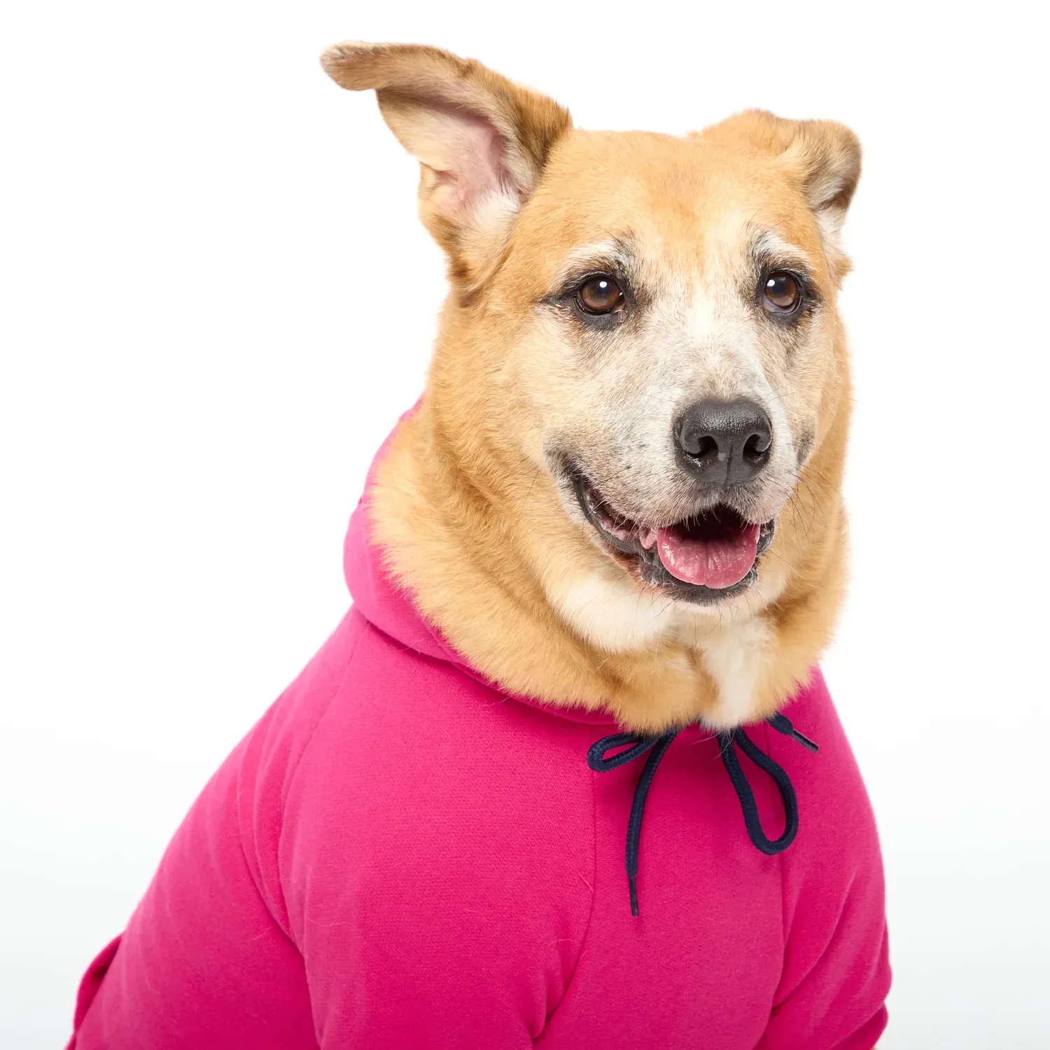 Moletom-Role-Pink-Frontal