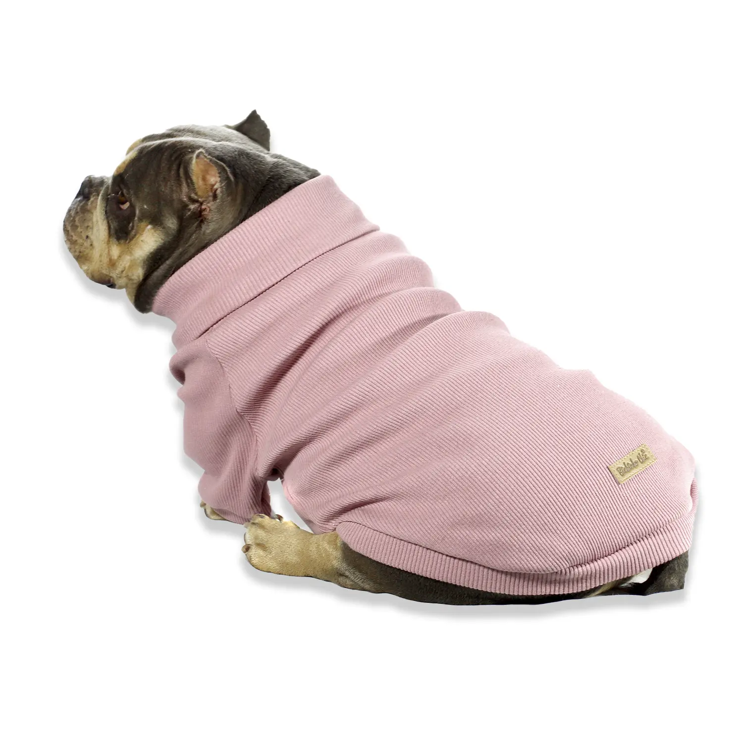 Cacharrel para Cães Bichinho Chic Rosê