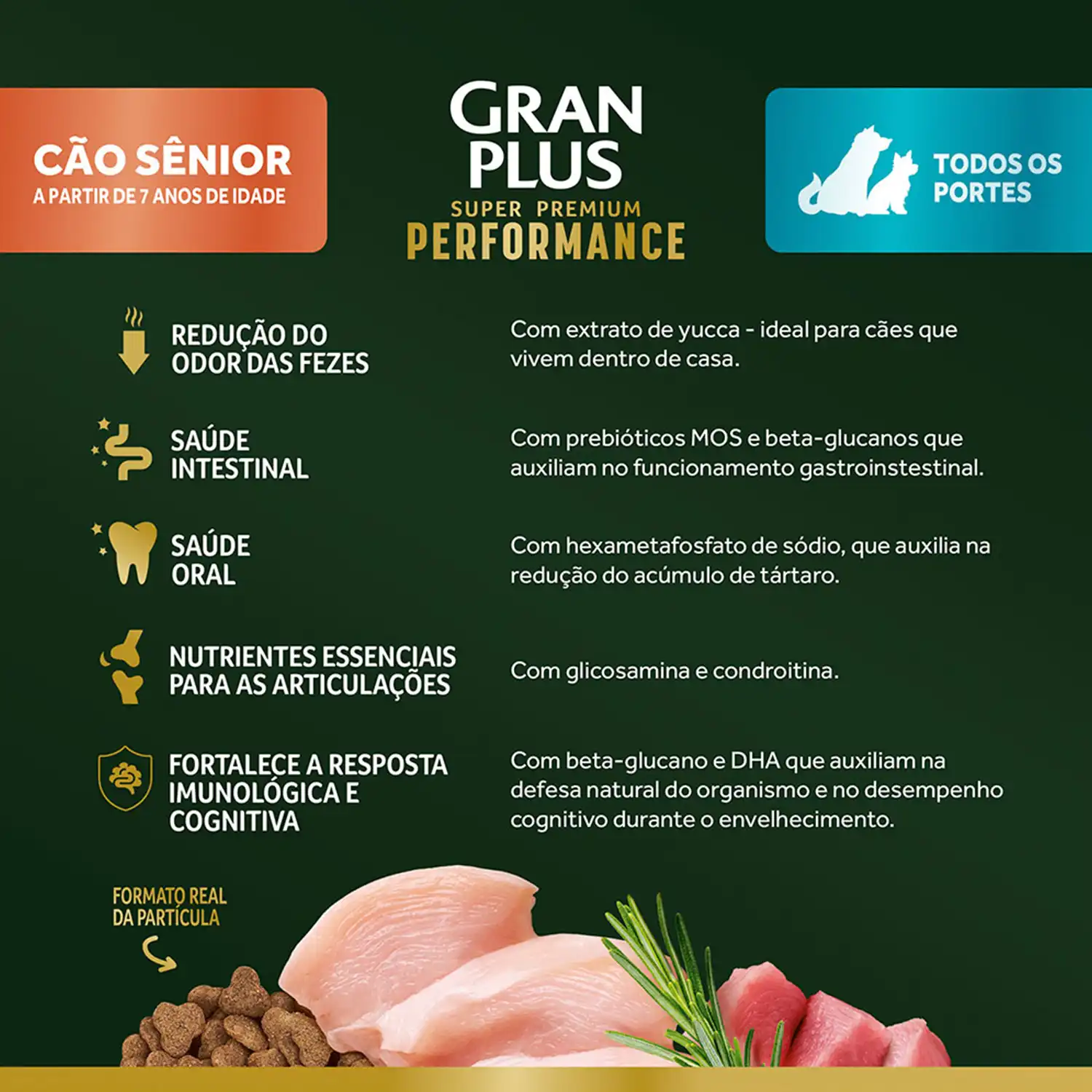 Banner-Racao-GranPlus-Performance-Caes-Senior-Frango-e-Peru---6